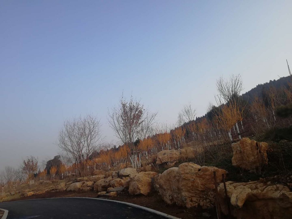 唐冶圍子山山體公園項(xiàng)目