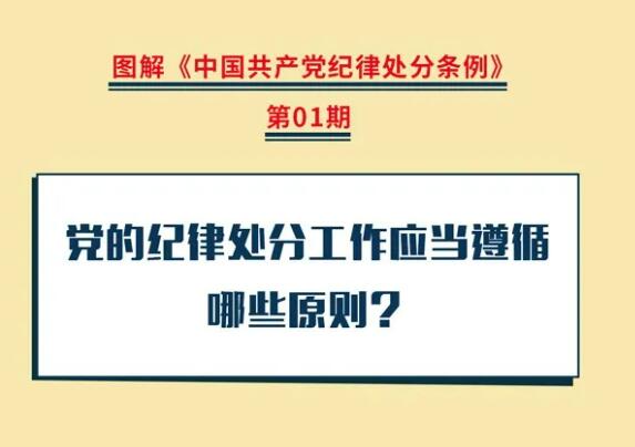 圖解紀(jì)律處分條例|黨的紀(jì)律處分工作應(yīng)當(dāng)遵循哪些原則？